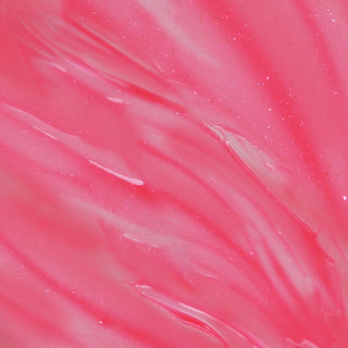 Raspberry Sorbet Lip Shake Lip Kit